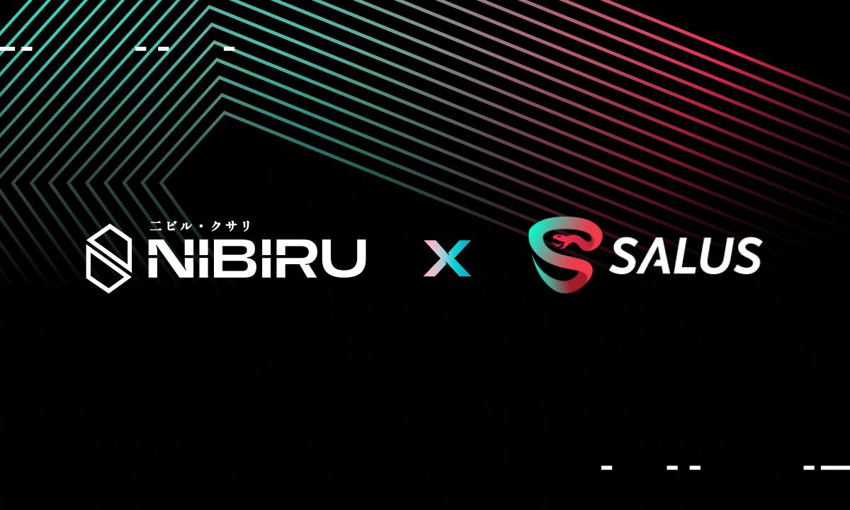 Cover image for #15 | Security Audit - Nibiru x Salus Security
